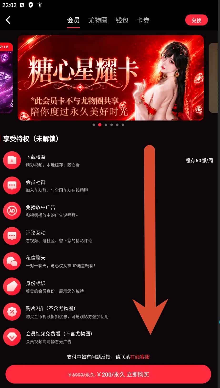 糖心星耀卡权益和200元永久价格截图