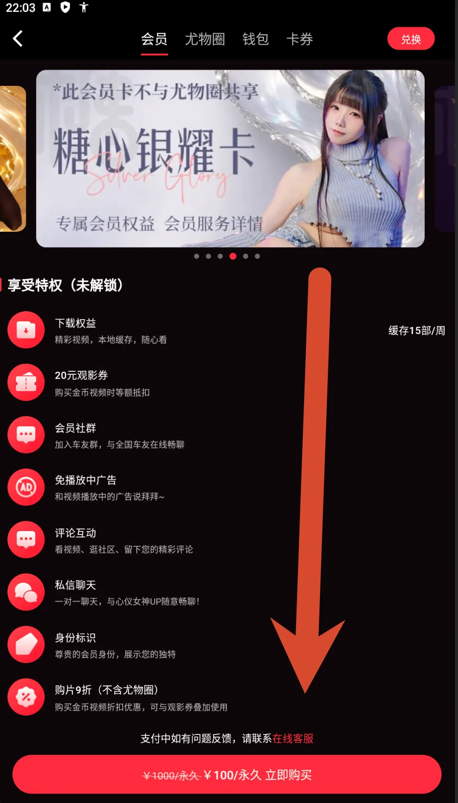 糖心银耀卡权益和100元永久价格截图